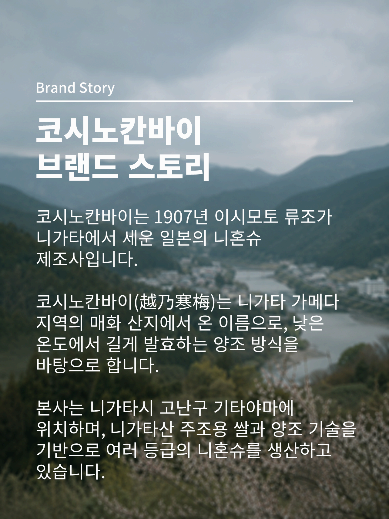 코시노칸바이 시로 라벨 720ml